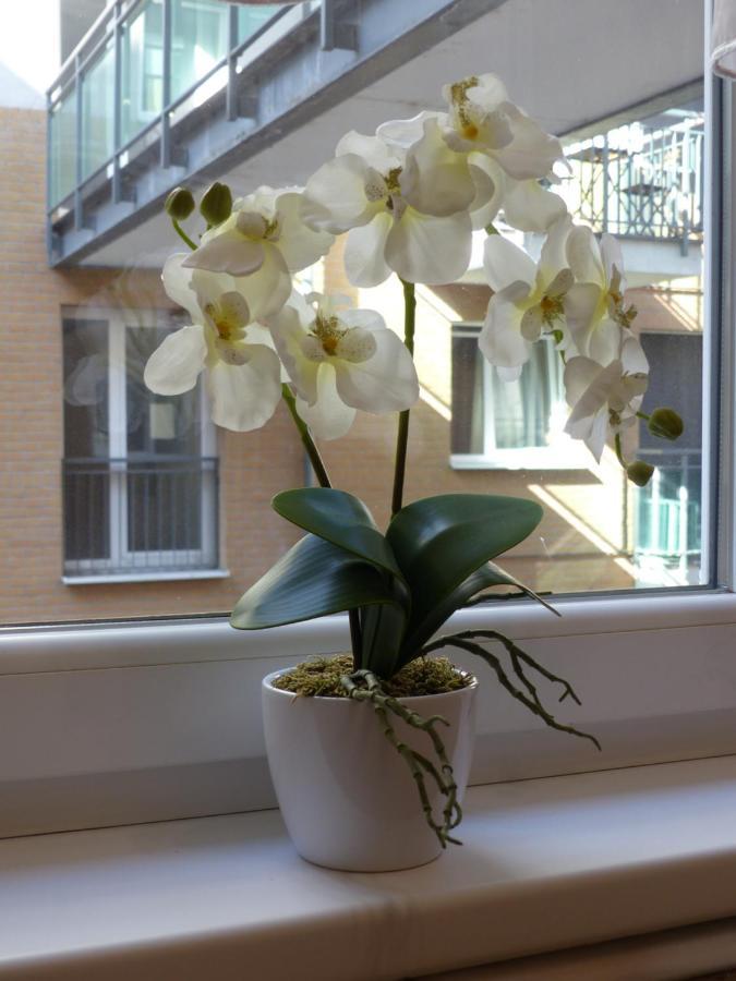 Apartment Avanti Budapest Extérieur photo